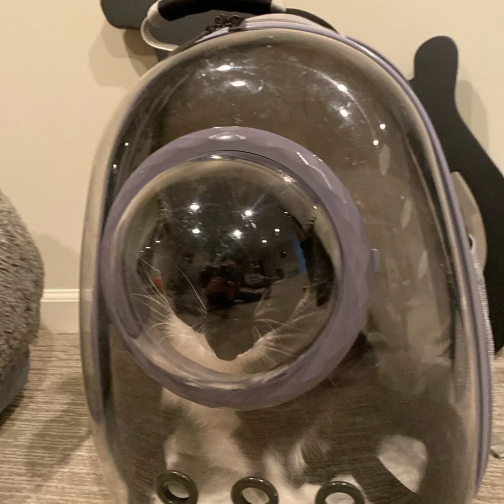 Cat bubble backpack